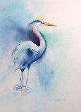 Crane