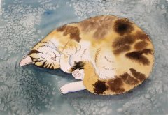 Let Sleeping Cats Lie