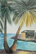 Beach House