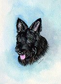 Black Dog