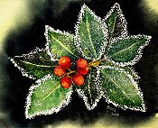 Christmas Holly