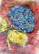 Hydrangea Batik