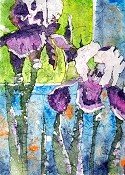 Iris Batik