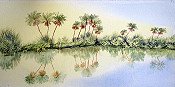 Oasis