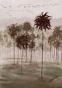 Palms In The Mist