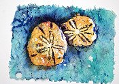 Sanddollar Batik