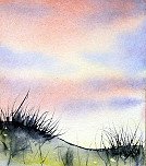 Sea Grass At Sunrise