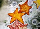Starfish