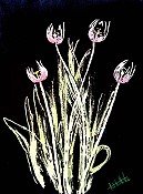Tulip Xray