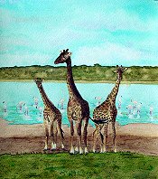 Giraffe Trio