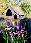 Lillies
