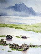 Misty Morn