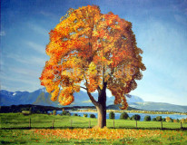 Bavarian Autumn Splendor