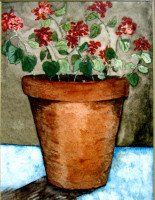 Potted Geraniums