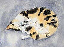 Nap Time