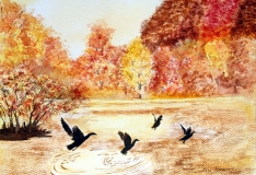 Fall Ducks
