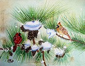 Christmas Cardinals