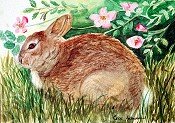 Clayboard Bunny