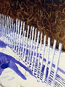 Fence Shadows At Asateague