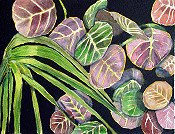 Florida Beach Leaves