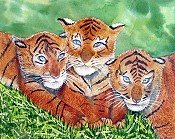 Three Tiger Cubs