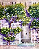 Wisteria Door