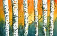 Birches in the Fall