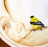 Goldfinch In The Moon