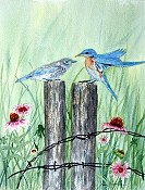 Blue Birds