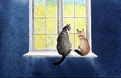 Cats On A Window Sill