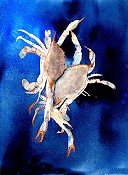 Crabs In Blue