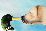 Dog Meets Duck