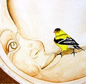 Goldfinch In The Moon