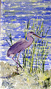 Heron On The Shore