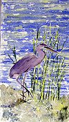 Heron On The Shore