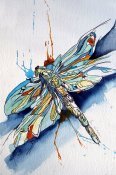 hj dragonfly