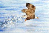 jh eagle