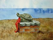 My Turtle