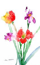 Spring Flowers