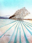 Tree Line 2