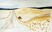 Wintery Country Road