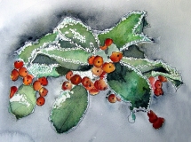 Snow On Holly Leaves