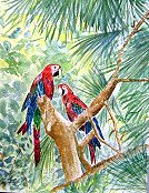 Audubon Zoo