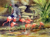 Audubon Zoo New Orleans