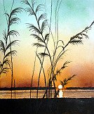 Calawassie Sunset