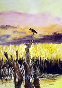 Lone Bird