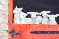 Mom's Lambs