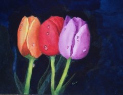 Brilliant Tulip