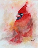 Cardinal