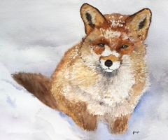 Fluffy Fox